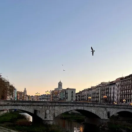 Barri Vell Catedral Appartement Gerona